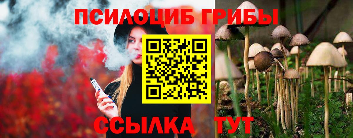 Псилоцибиновые грибы мицелий  Вход с VPN  Галлюциногенные грибы мицелий  Омск 